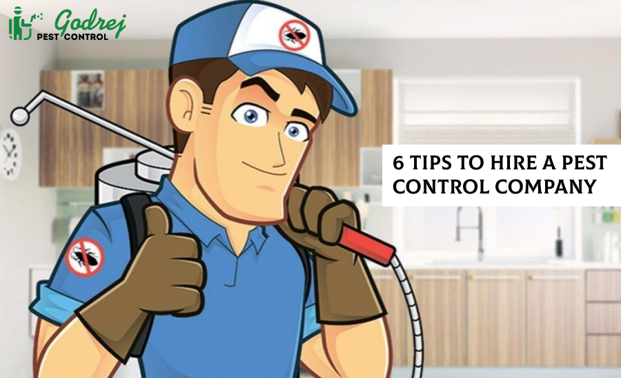 6 Tips to Hire a Pest Control Company