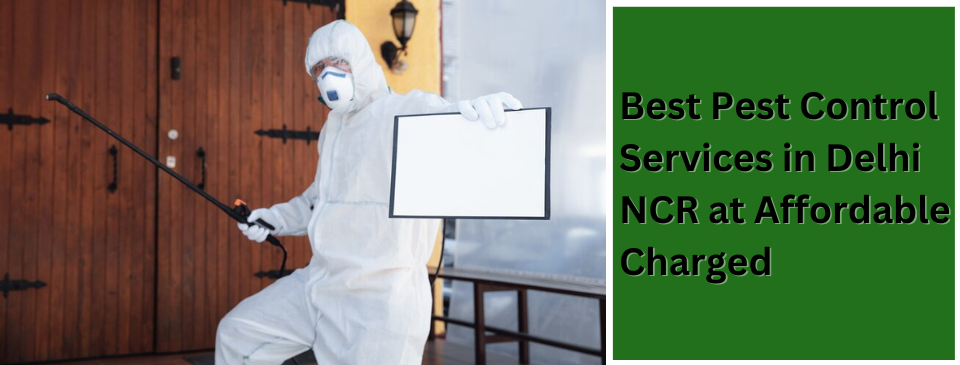 Best Pest Control Services in Delhi NCR at Affordable Charged