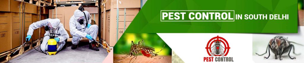 Pest Control in South Delhi