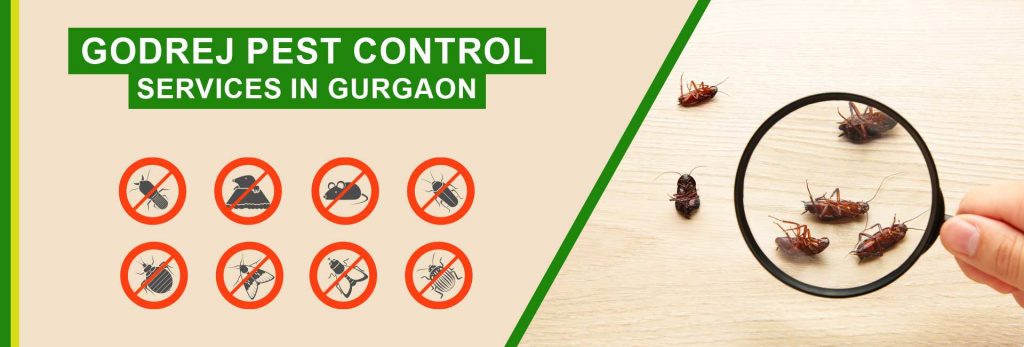 Herbal Pest Control Services in Gurgaon