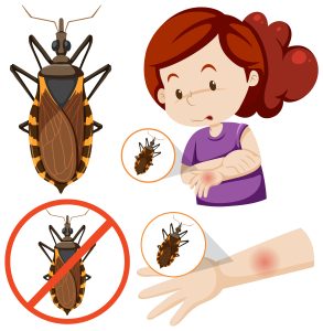 way-to-remove-bedbugs-from-your-home