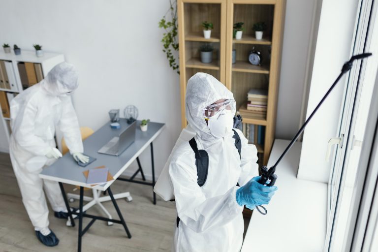 best-pest-control-services-in-vasant-kunj-delhi