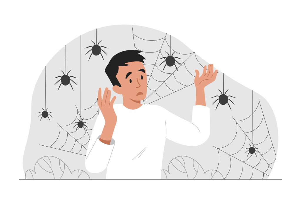 spider-control-services-in-gurgaon