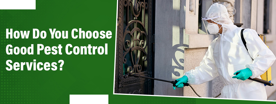 How Do You Choose Good Pest Control Services?